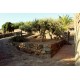 Properties for Sale_Villas_La Villa a Pantelleria in Le Marche_30